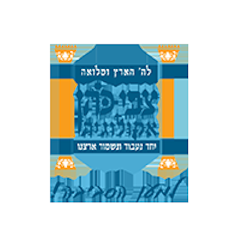 צבין כהן
