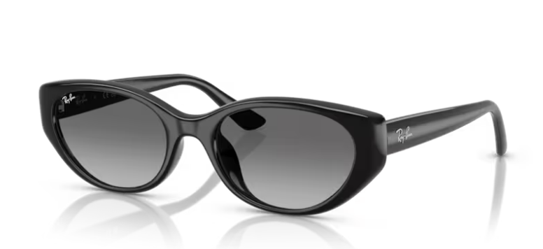 משקפי שמש של רייבן 0RB4457D 667711 - Black 55-19 145