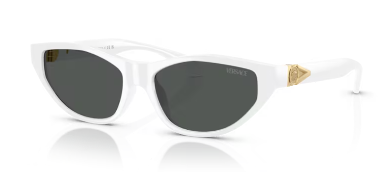 משקפי שמש של ורסצ'ה 0VE4491U 314/87 - White 55-16 140