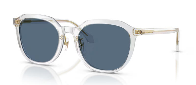 משקפי שמש של ורסצ'ה 0VE4493D 551971 - Transparent grey 55-21 140